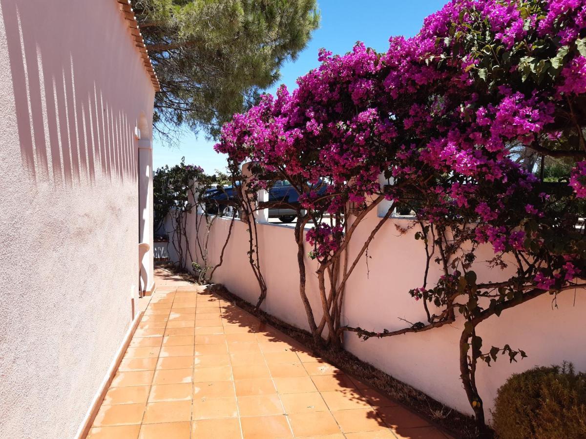 Mare & Mirice - Case Appartamenti Vacanza Aglientu Exterior photo