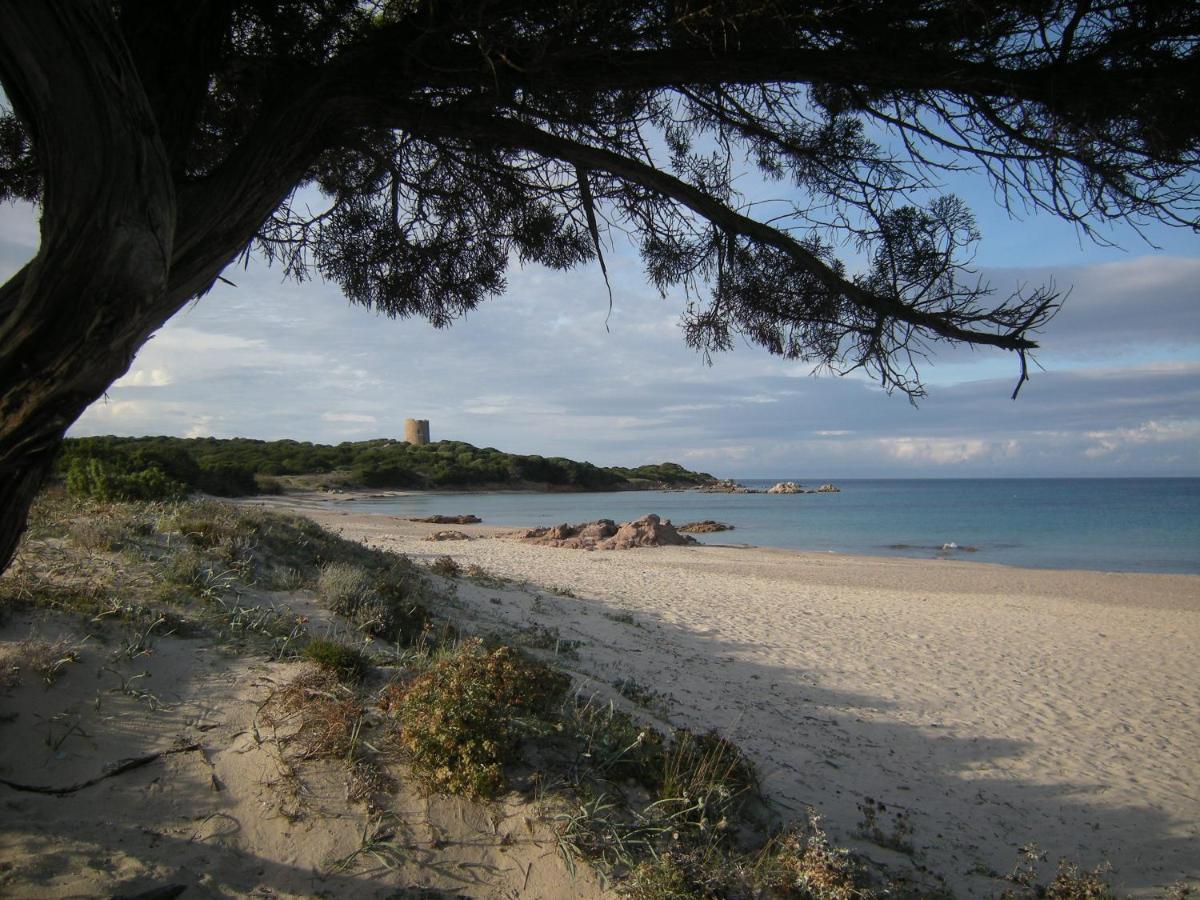 Mare & Mirice - Case Appartamenti Vacanza Aglientu Exterior photo